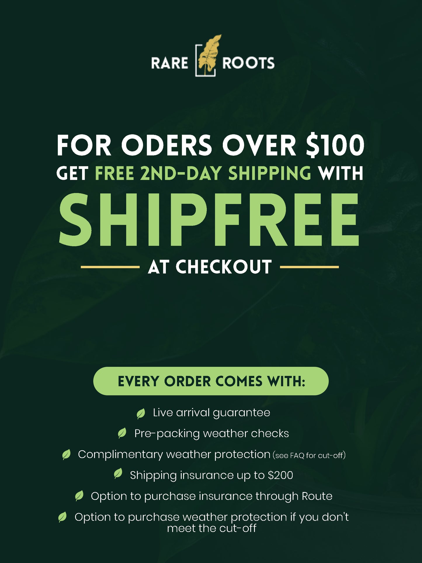 Philodendron 'Caramel Marble' - rooted with active growth (CM-2221)